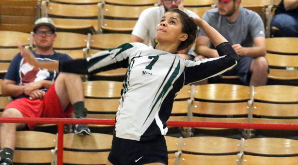 Mesa's Big Day Leads Seward to Split