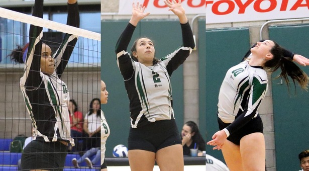 Lady Saints Sweep Jayhawk West Awards